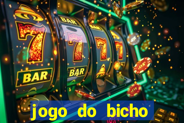 jogo do bicho crash bingo